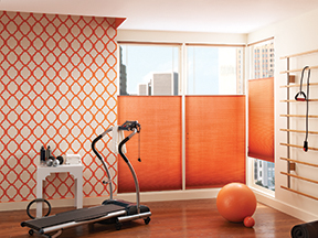 Honeycomb Shades