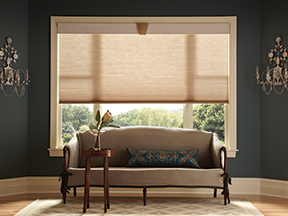 Honeycomb Shades