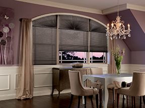 Honeycomb Shades