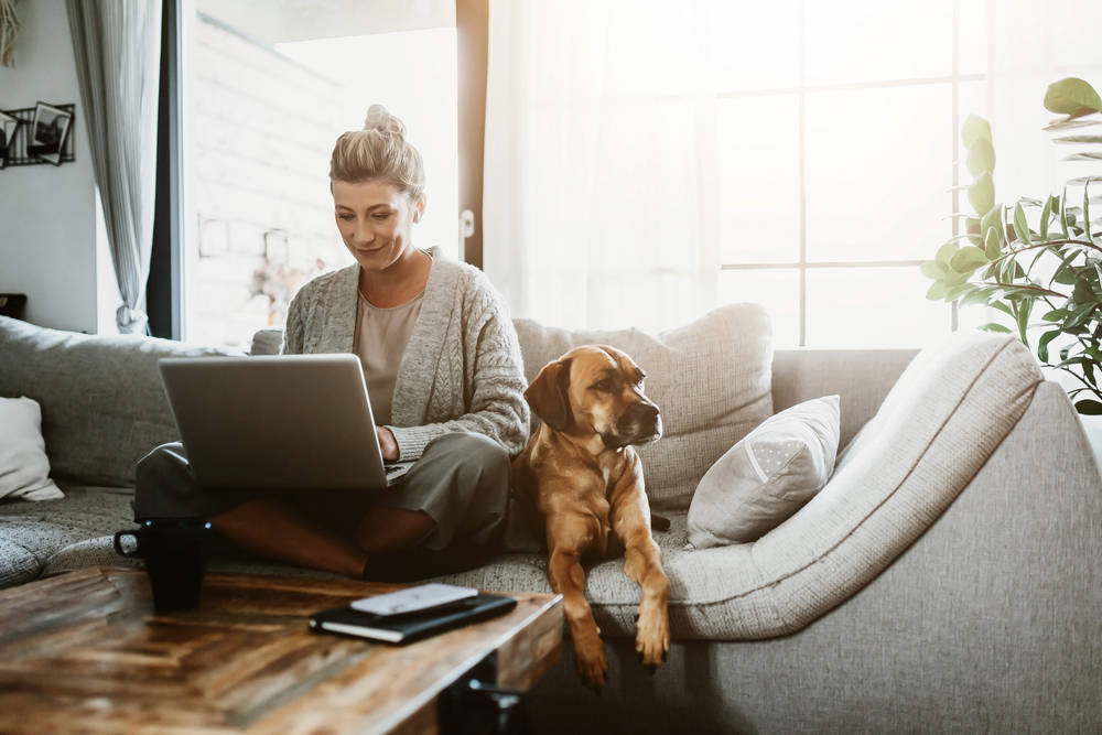 Home Office Replacement Windows in Los Angeles